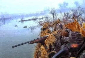 Duck Hunting in Serbia
