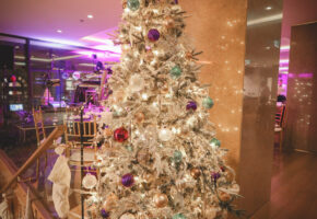 hotel courtyard marriott beograd 11